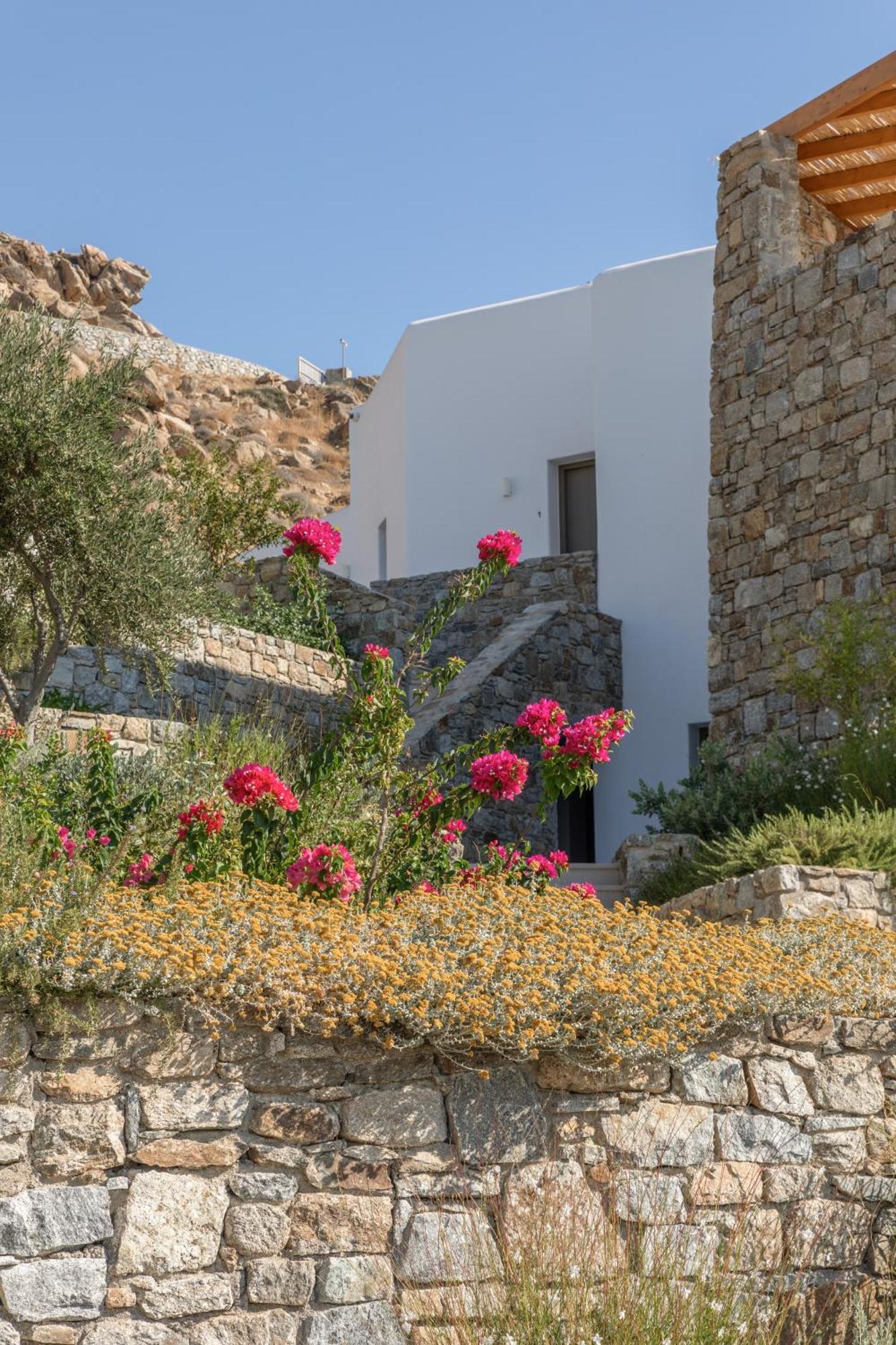 Calma Suites Mykonos Psarou  Eksteriør bilde